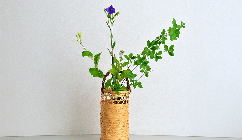 無風庵茶会で鑑賞する季節の花